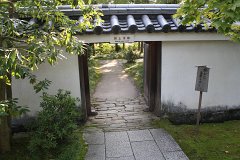 IMG 4368
