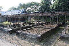 IMG 4372