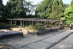 IMG 4374