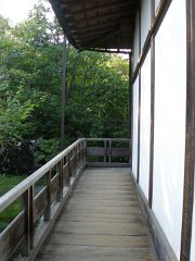 IMG 4379-1