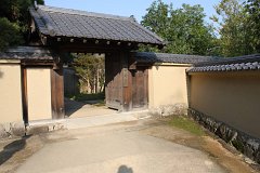 IMG 4379