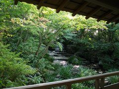 IMG 4380-1