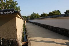IMG 4381