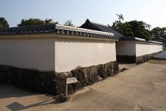 IMG 4382