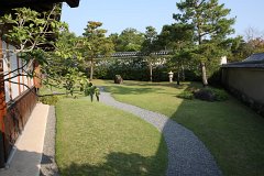 IMG 4384
