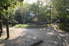IMG 4387