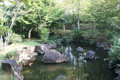 IMG 4389