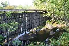 IMG 4391