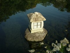 IMG 4392-1