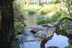 IMG 4392