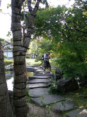 IMG 4397-2