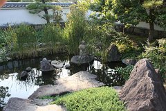 IMG 4397