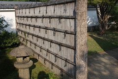 IMG 4398