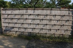 IMG 4399
