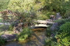 IMG 4402