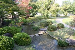 IMG 4403