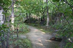 IMG 4404