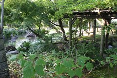 IMG 4405