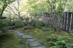 IMG 4406