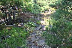 IMG 4407