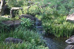 IMG 4410