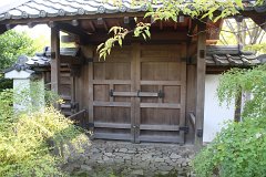 IMG 4413
