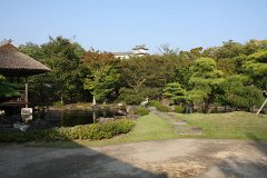 IMG 4416