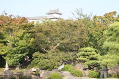 IMG 4417