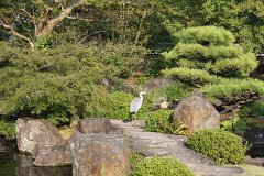 IMG 4418