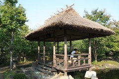 IMG 4419