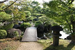 IMG 4420