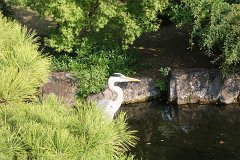 IMG 4423