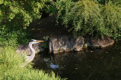 IMG 4424