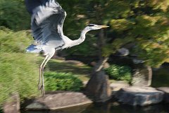IMG 4426