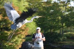 IMG 4428