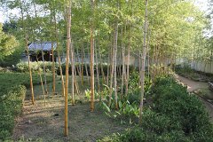 IMG 4431