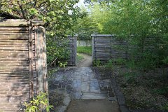 IMG 4434