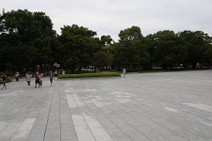 IMG 3614