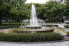 IMG 3626