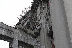 IMG 3668
