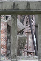 IMG 3680