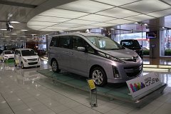 IMG 3758