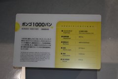 IMG 3814