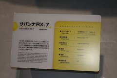 IMG 3817