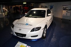 IMG 3911