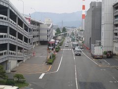 IMG 3941-1