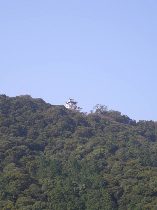 PA290431