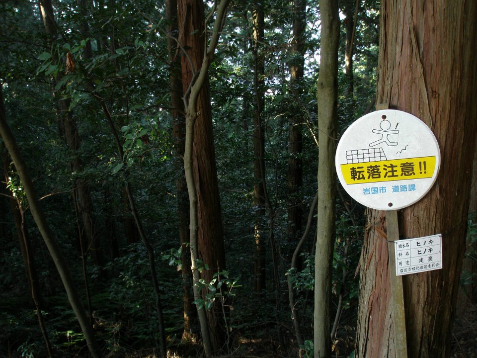 PA290439