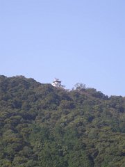 PA290431