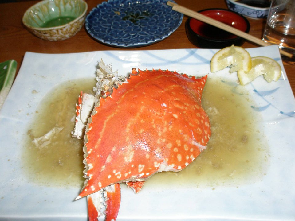 PB060884